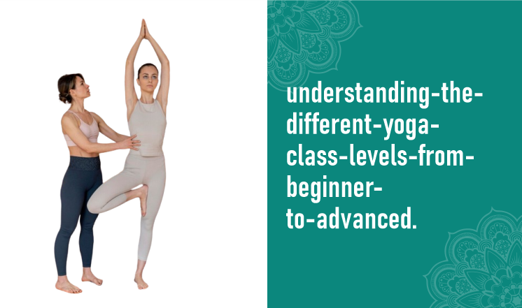 Understanding the Different Yoga Class Levels