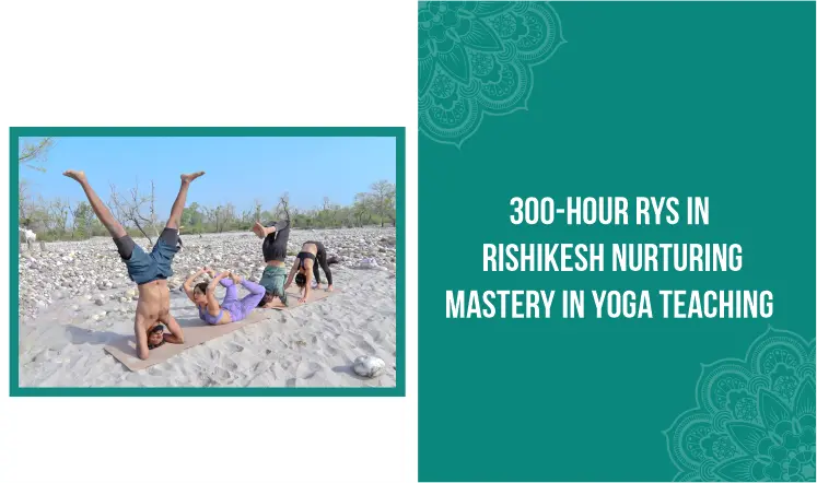 300-hour-rys-in-rishikesh-nurturing-mastery-in-yoga-teaching