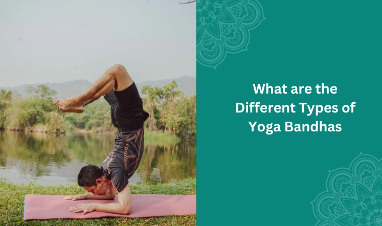 what-are-the-different-types-of-yoga-bandhas